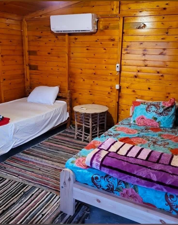 Africa Beach Camp Nature lodge in South Sinai Governorate
