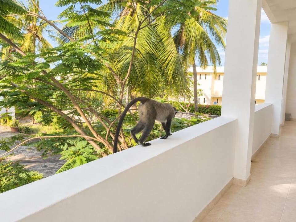 Diani Beach 1BR Steps from the Beach Apartment in Diani Beach