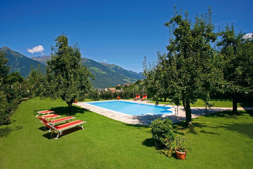 Garden, Swimming pool