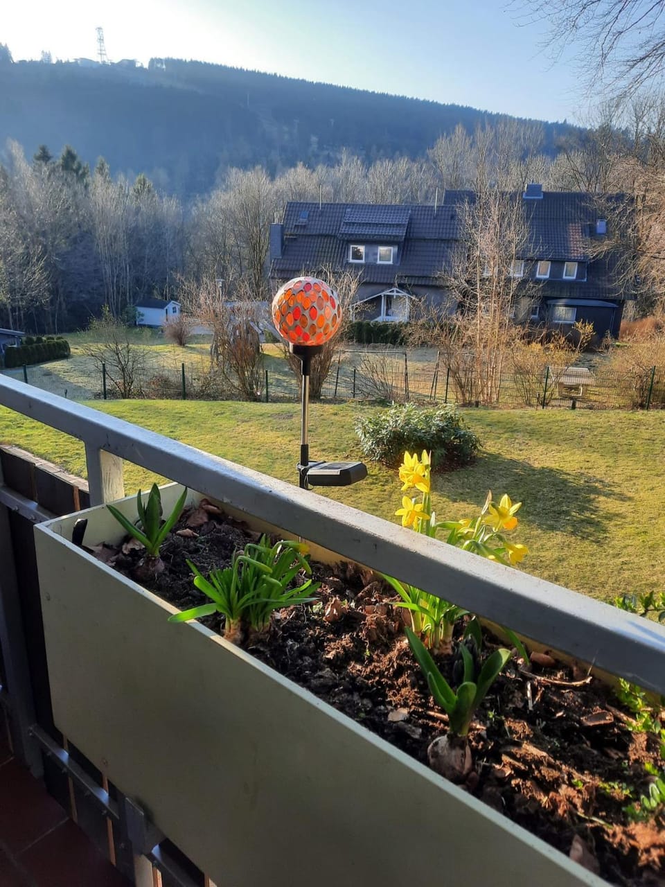 View (from property/room)