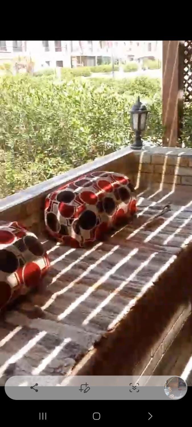 Sea view chalet with meals Bed and Breakfast in South Sinai Governorate