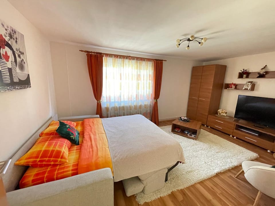 Bed, TV and multimedia, Living room, Photo of the whole room, Seating area, Evening entertainment