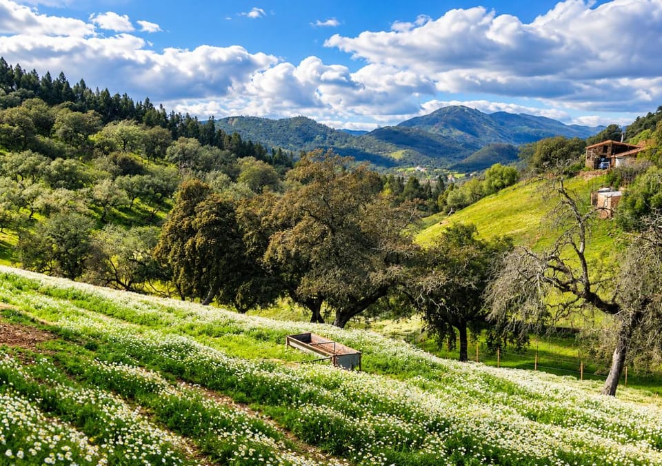 Spring, Natural landscape, Garden view, Mountain view