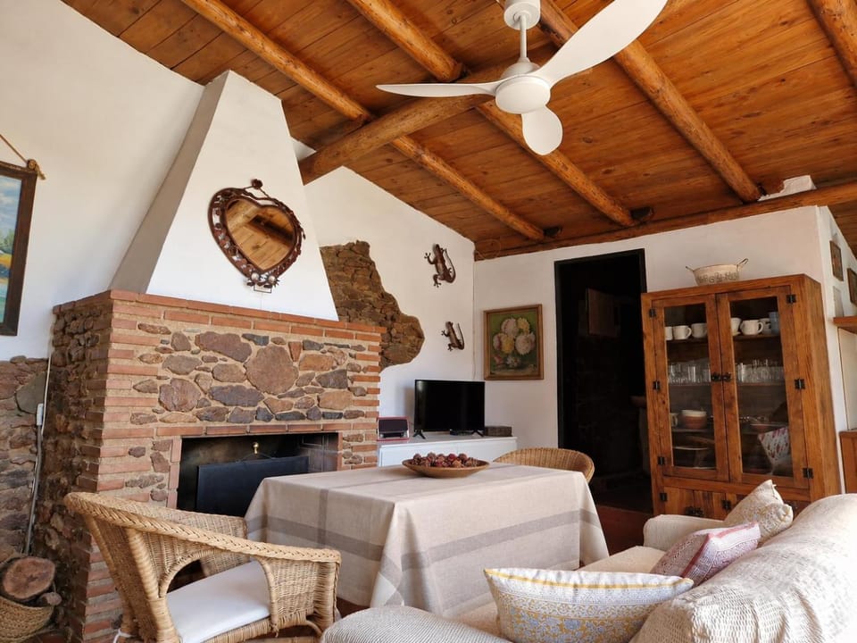 TV and multimedia, Living room, Seating area, Dining area, fireplace