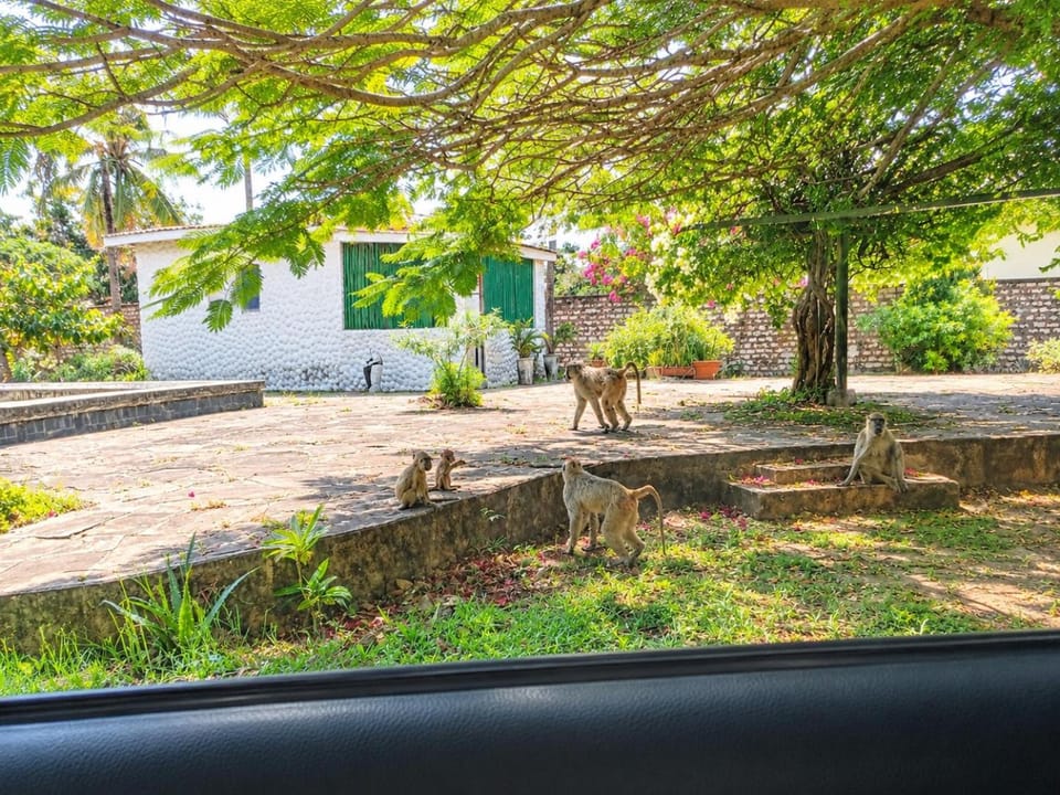 Swahili-Style 1-Bedroom, Very Near Diani Beach House in Diani Beach