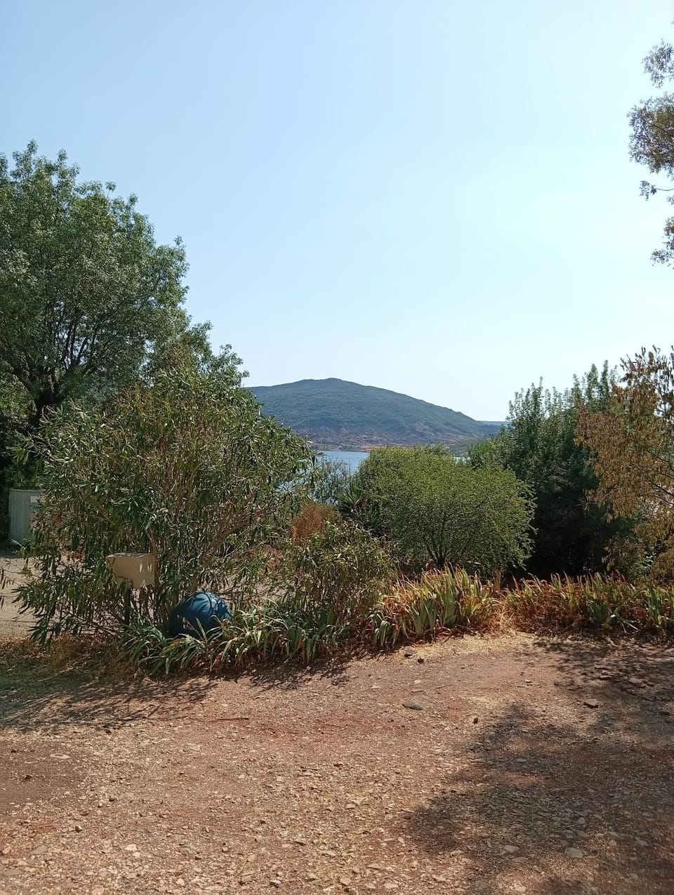 Lake view