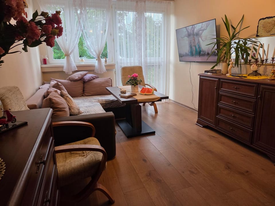 Communal lounge/ TV room, TV and multimedia, Living room