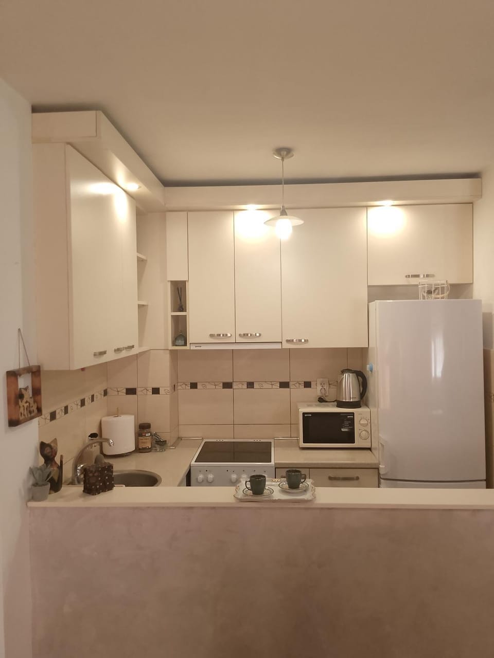 Apartman Emina Apartment in Serbia