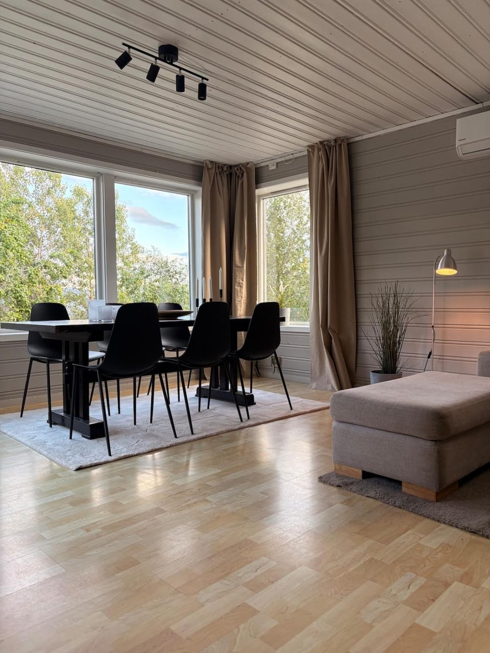 Living room, Dining area, air conditioner