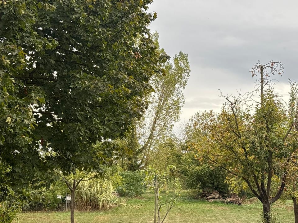 Garden, Garden view