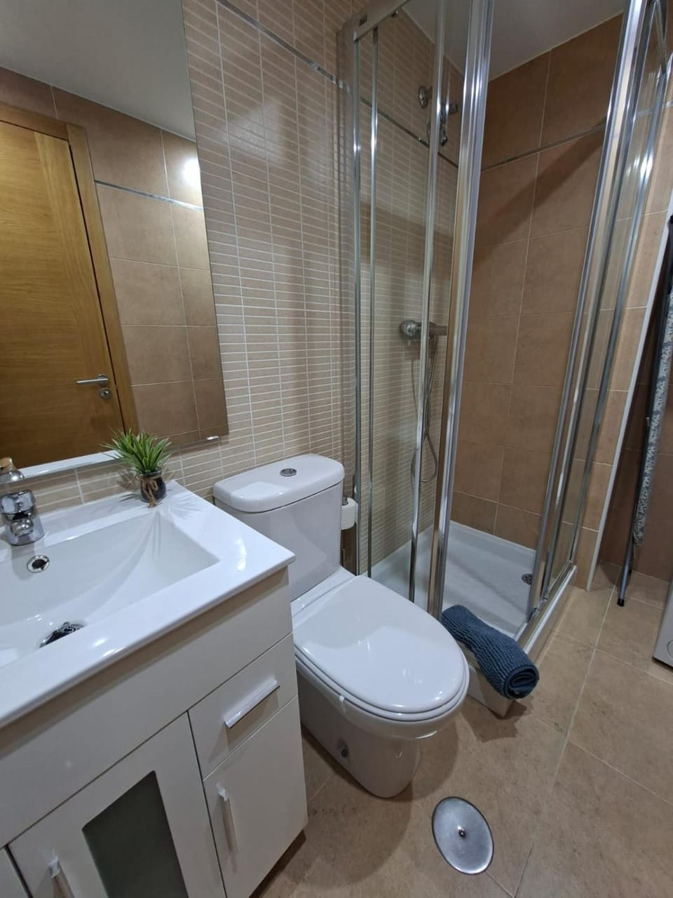 Shower, Toilet