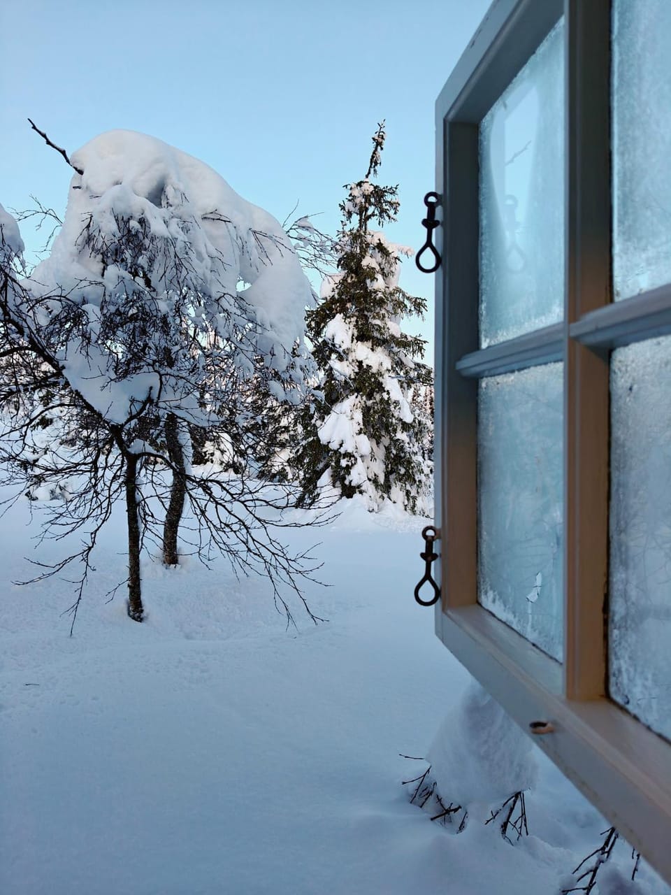 Winter