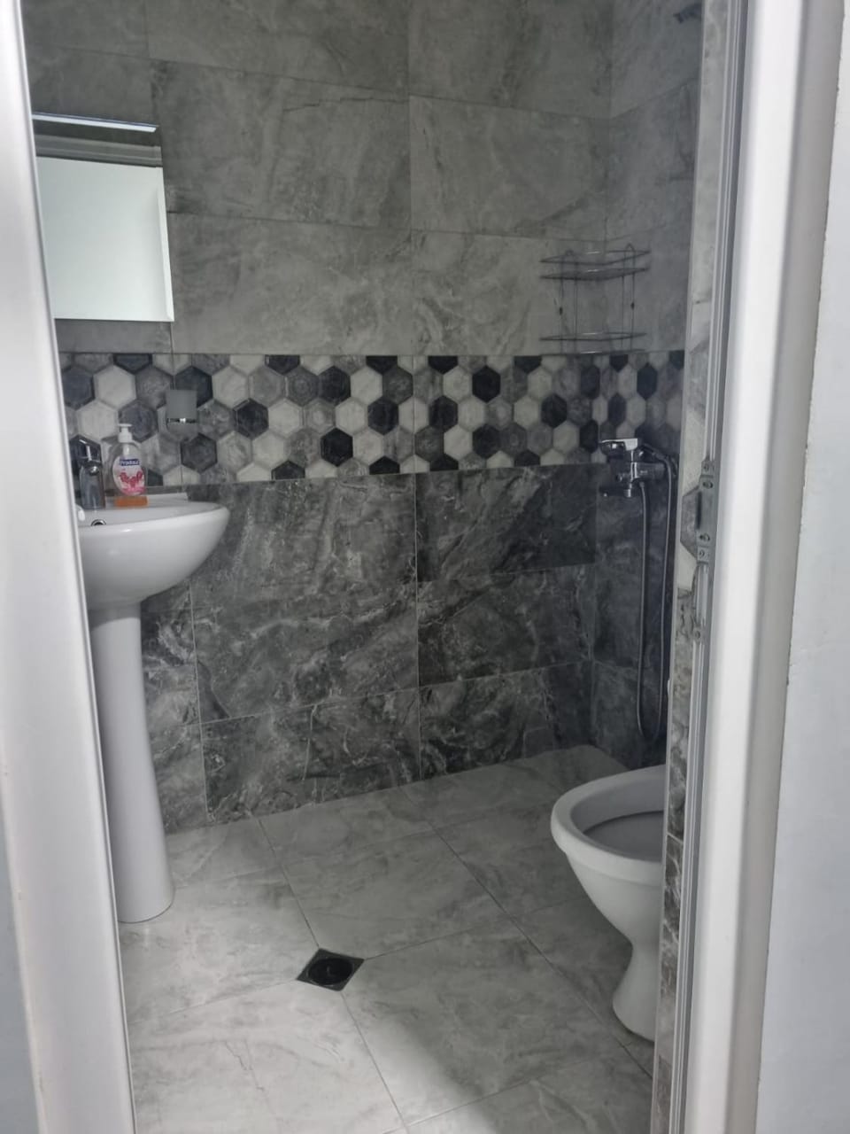 Apartment Double Studio Apartment in Georgia