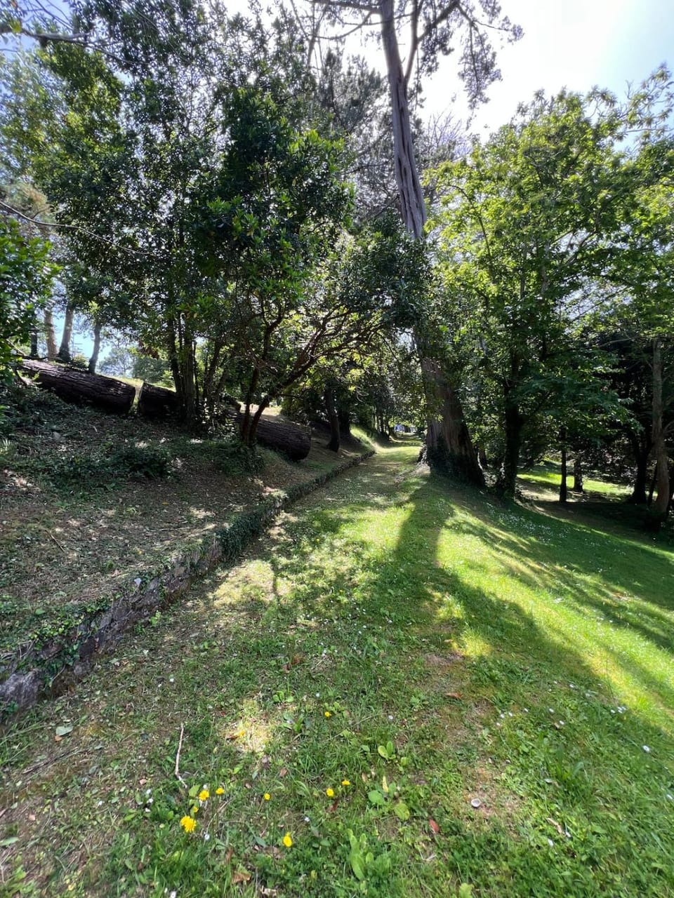 Day, Natural landscape, Garden, Garden view