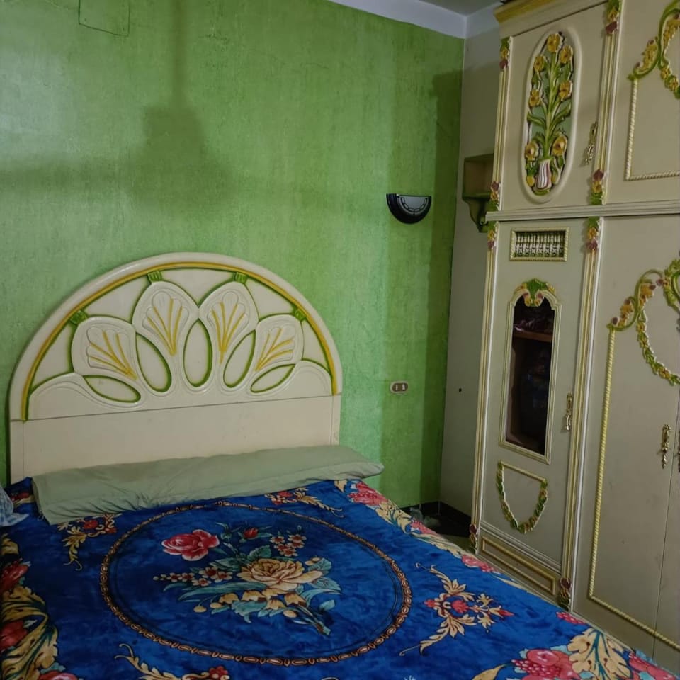 Family kingdom Apartment in Luxor