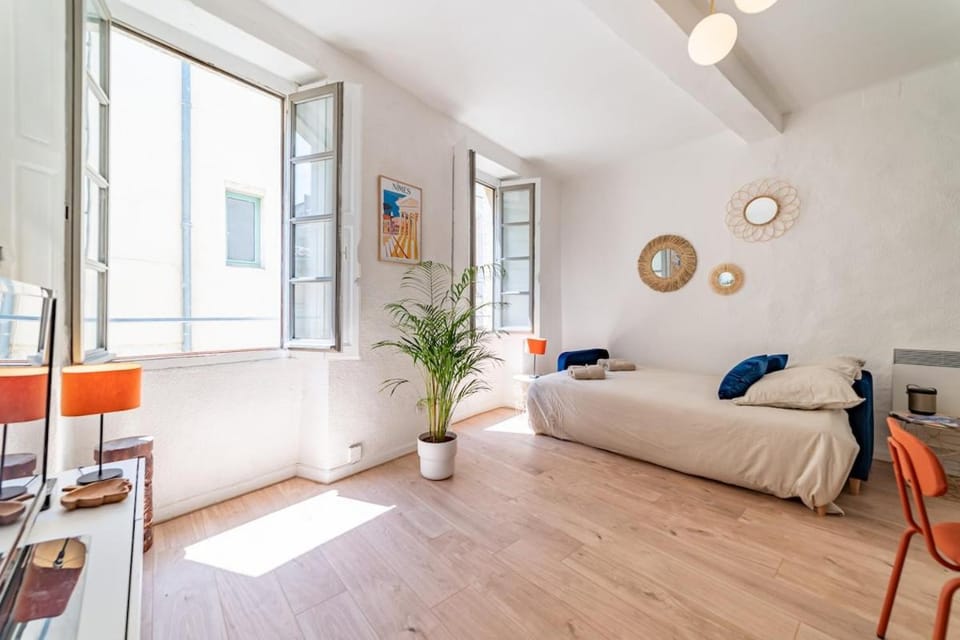 Cœur de Nîmes - Ambiance aux pieds Arènes Apartment in Nimes