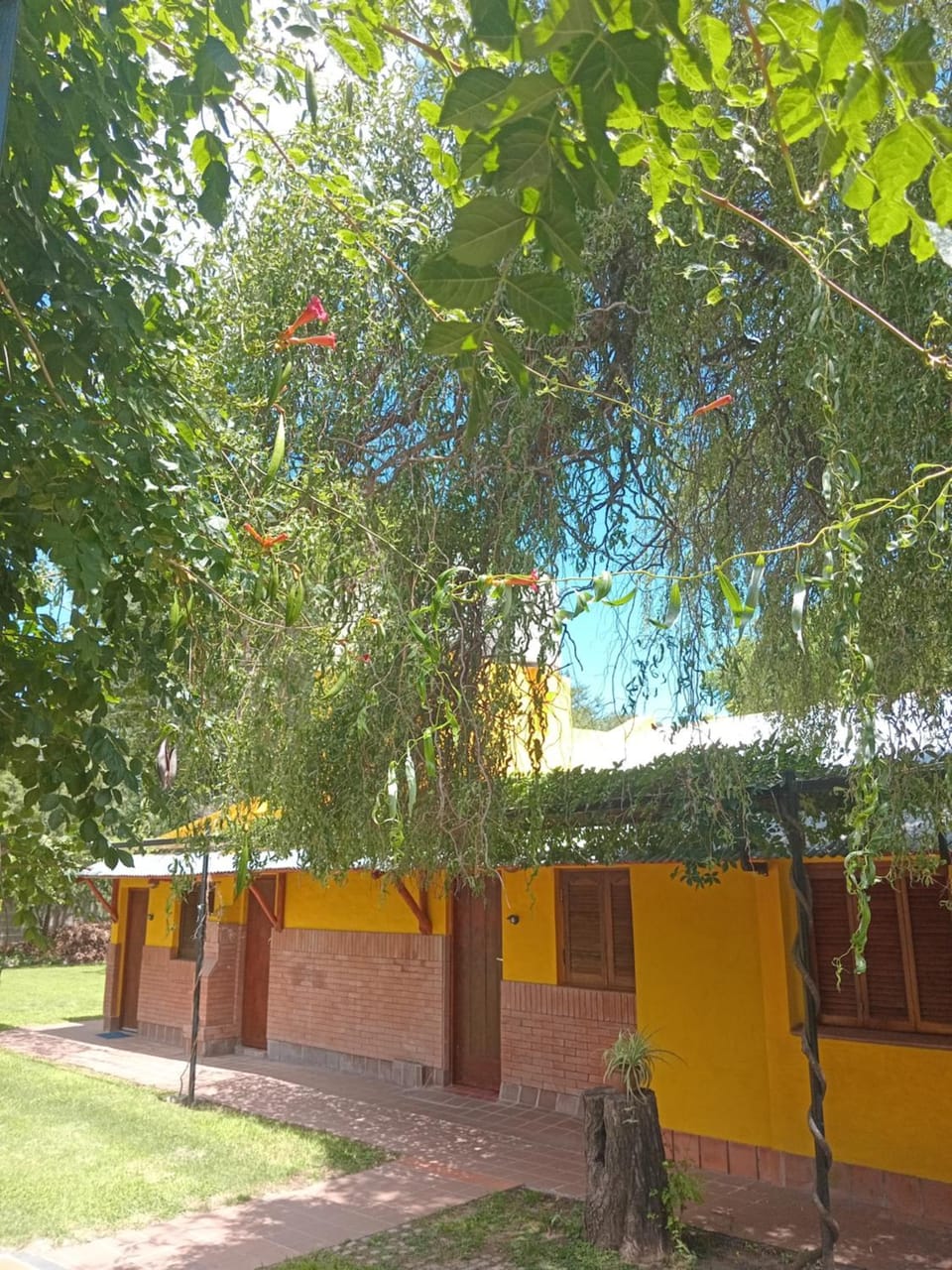 Patio, Garden view