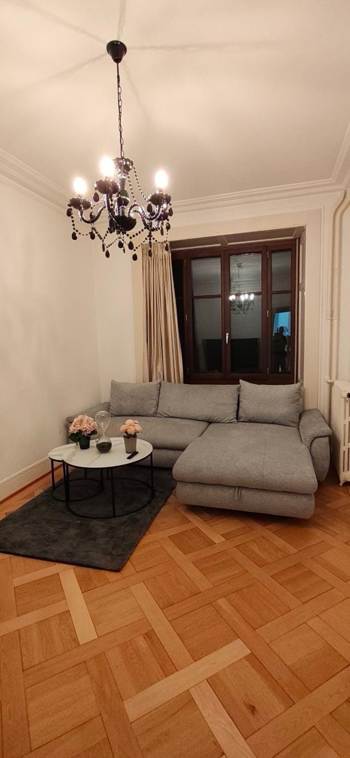 Grand appartement familial, proche ONU et gare Apartment in Geneva