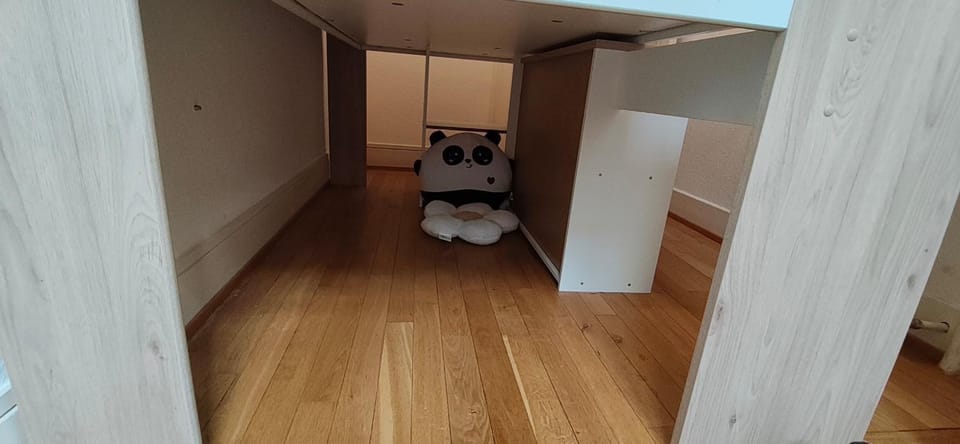 Grand appartement familial, proche ONU et gare Apartment in Geneva