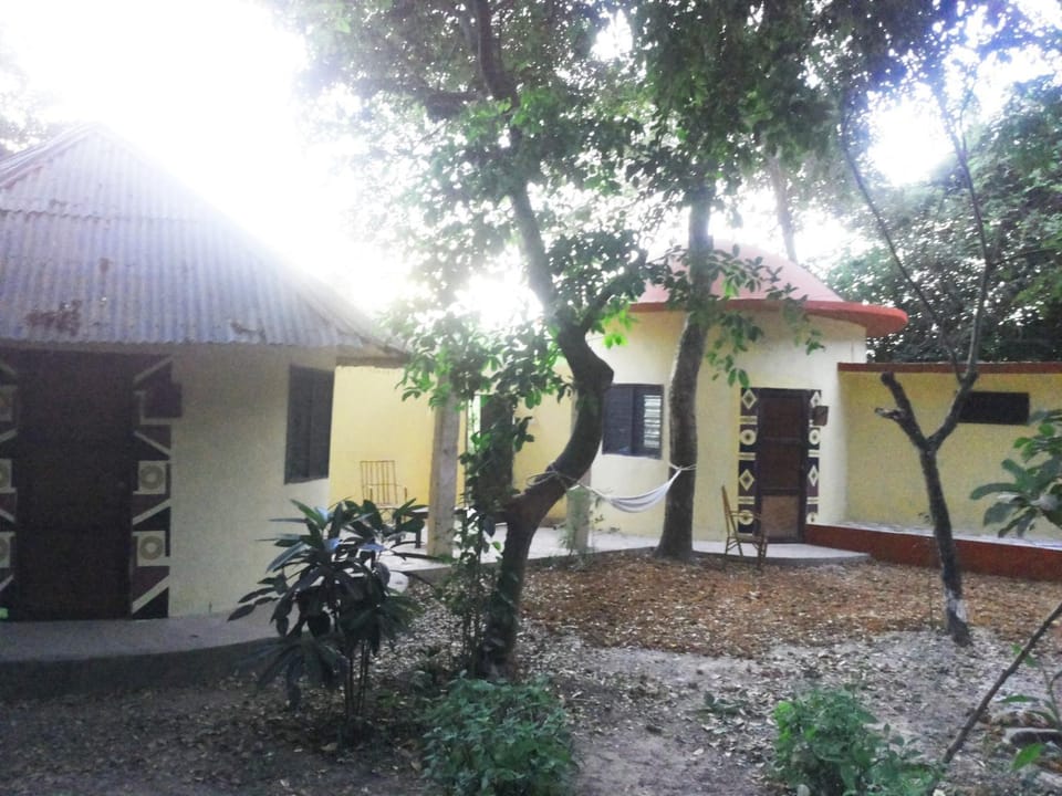 Property building, Patio, Facade/entrance, Garden