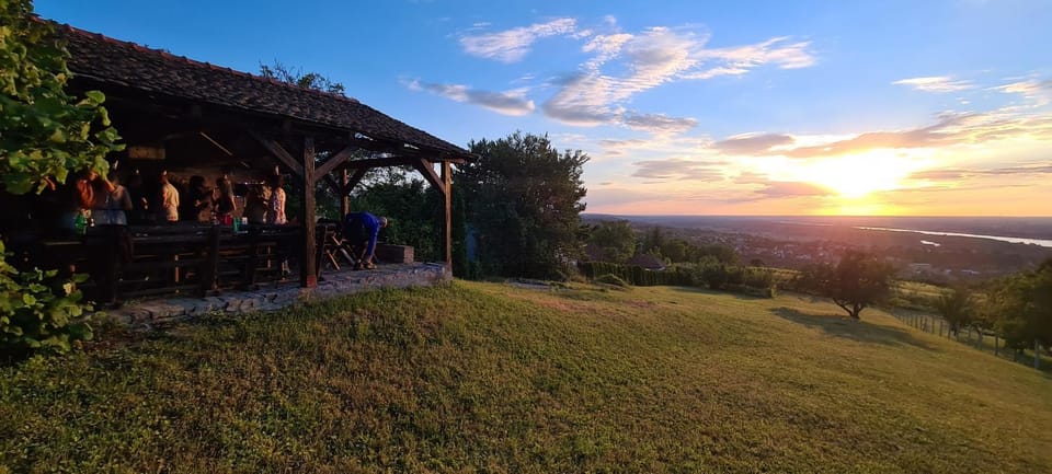 Natural landscape, BBQ facilities, Entertainment, group of guests