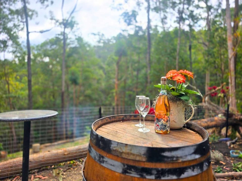 GC Hinterland Hideaway by Tiny Away House in Tallebudgera Valley