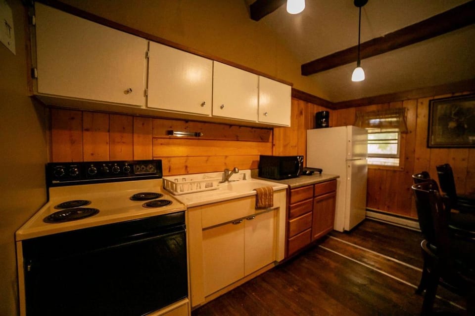 Incredible Cabin with Gorgeous Forest Views in Dubois, Wyoming Cabin in Dubois