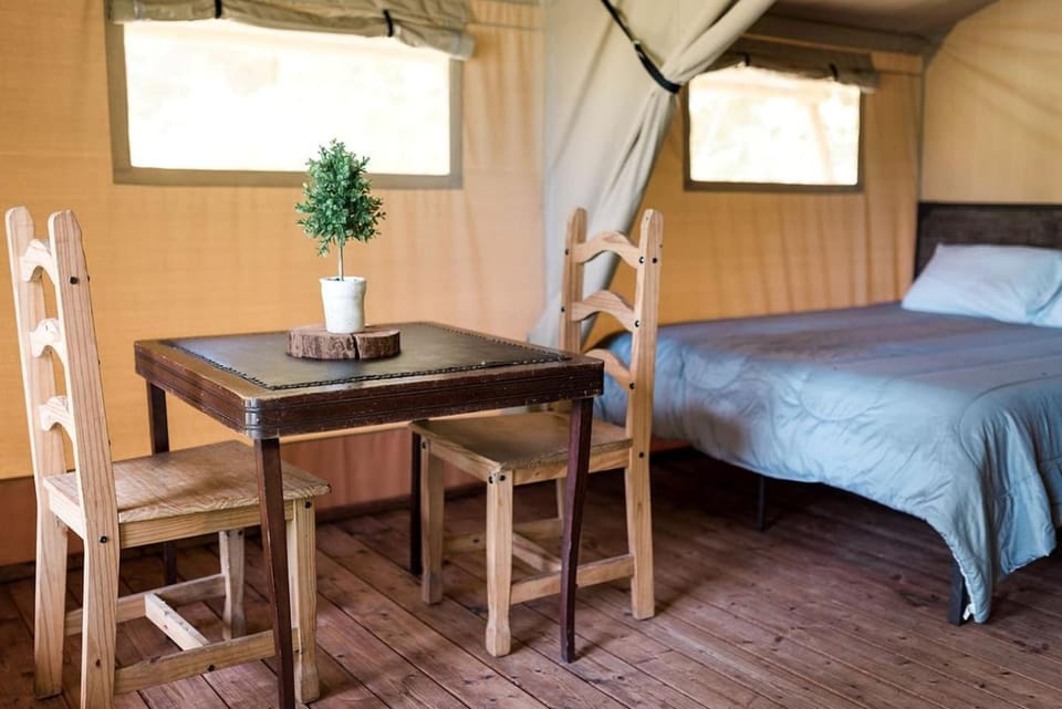 Spacious Heated Glamping Tent with Covered Fire Pit in Knoxville, Tennessee Luxury tent in Knoxville