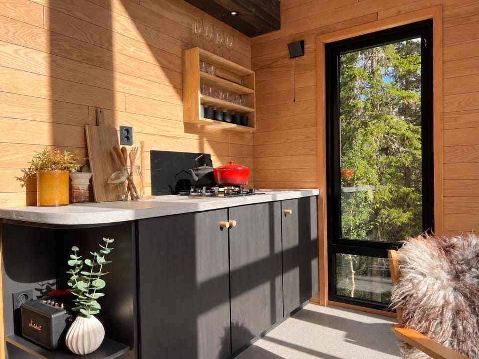 Kitchen or kitchenette, pet friendly, stove