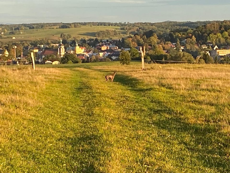 Natural landscape