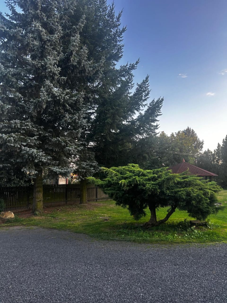 Garden, Garden view