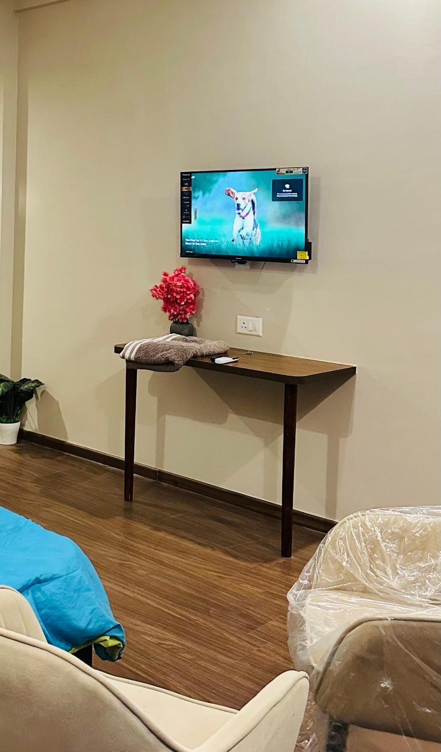 Noida nest Bnb near expo mart Greater Noida Apartment in Uttar Pradesh