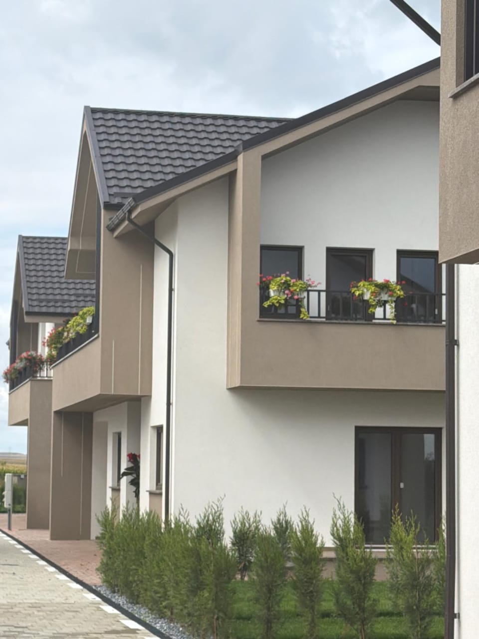 Citynest Bucovina Villa in Romania