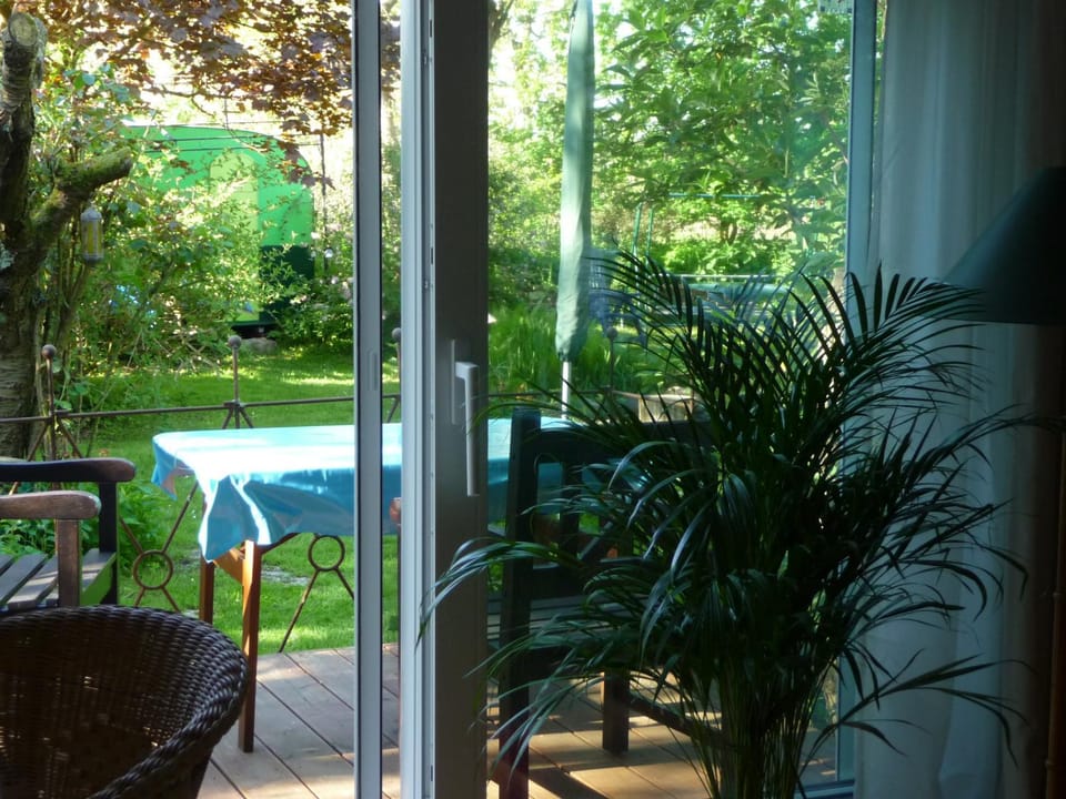 Garden view