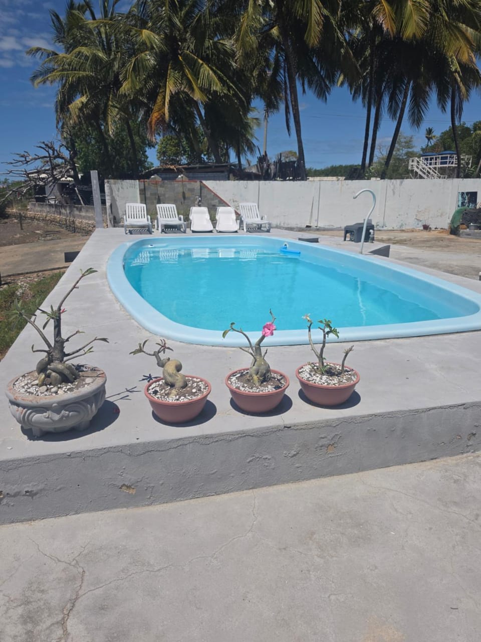 Aracaju camping Campground/ 
RV Resort in Aracaju