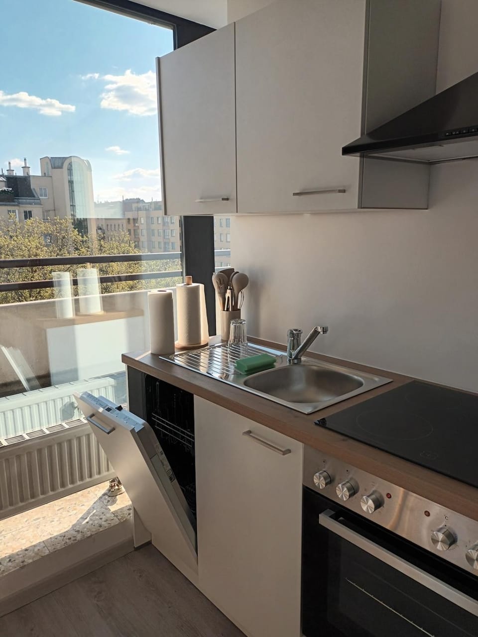 Kitchen or kitchenette, dishwasher, stove