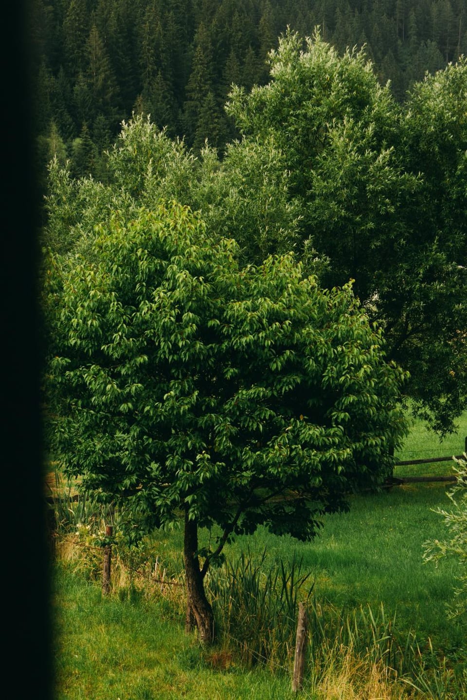 Na Ganku Bed and Breakfast in Ukraine