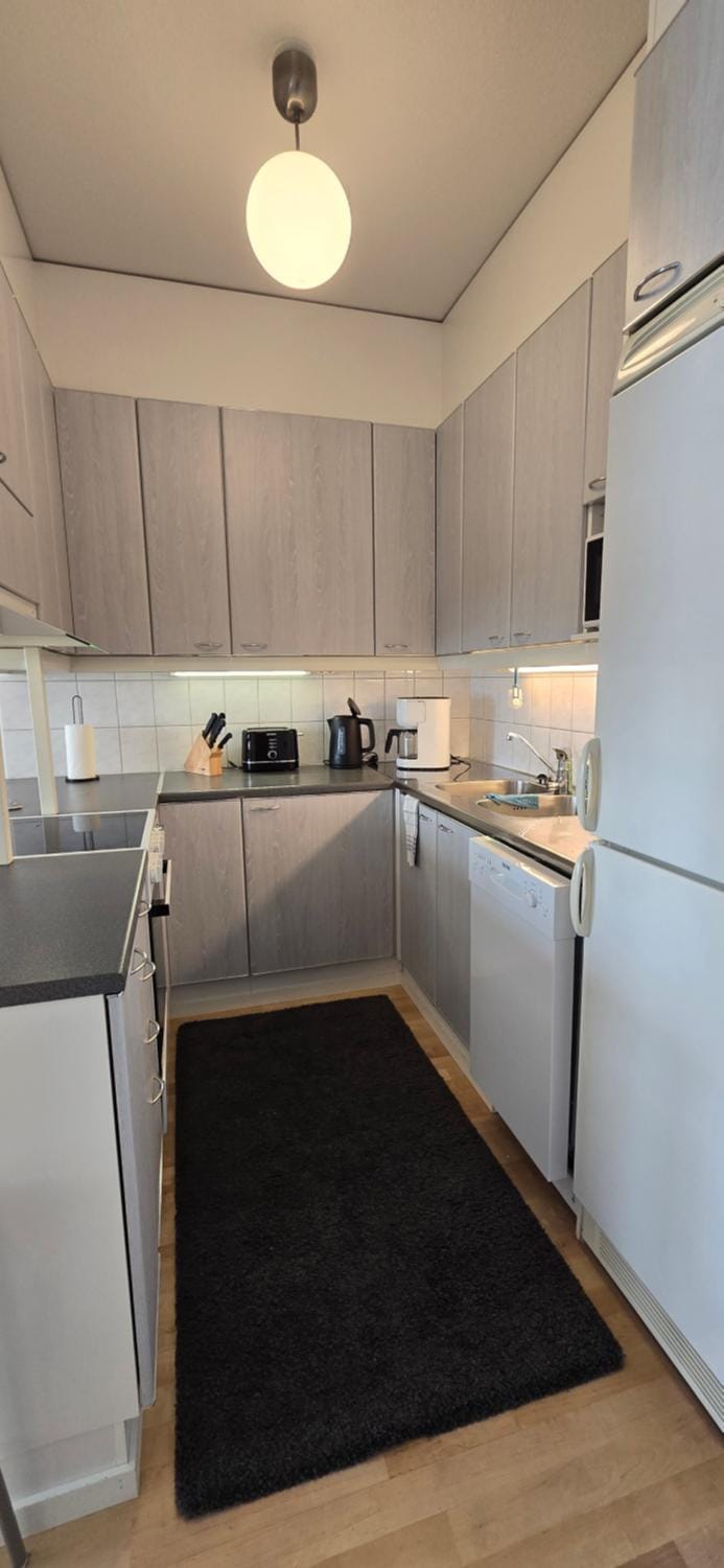 Kitchen or kitchenette, dishwasher, oven, stove
