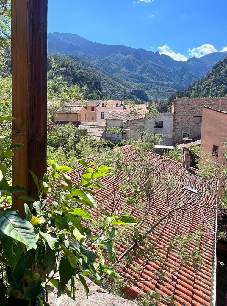 Le Nid du Canigou, Studio avec terrasse dans le vieux village Apartment in Vernet-les-Bains