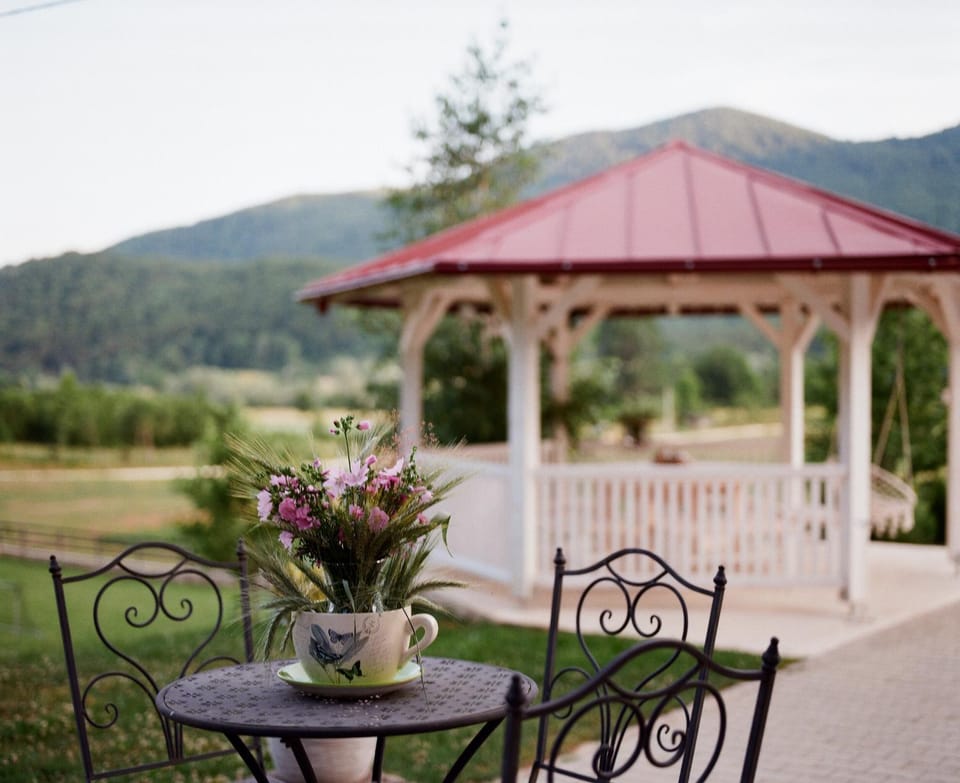 Patio, Day, Natural landscape, Garden, Garden view, Mountain view