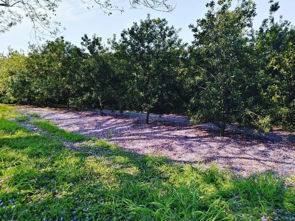 Facade/entrance, Natural landscape, View (from property/room), On site