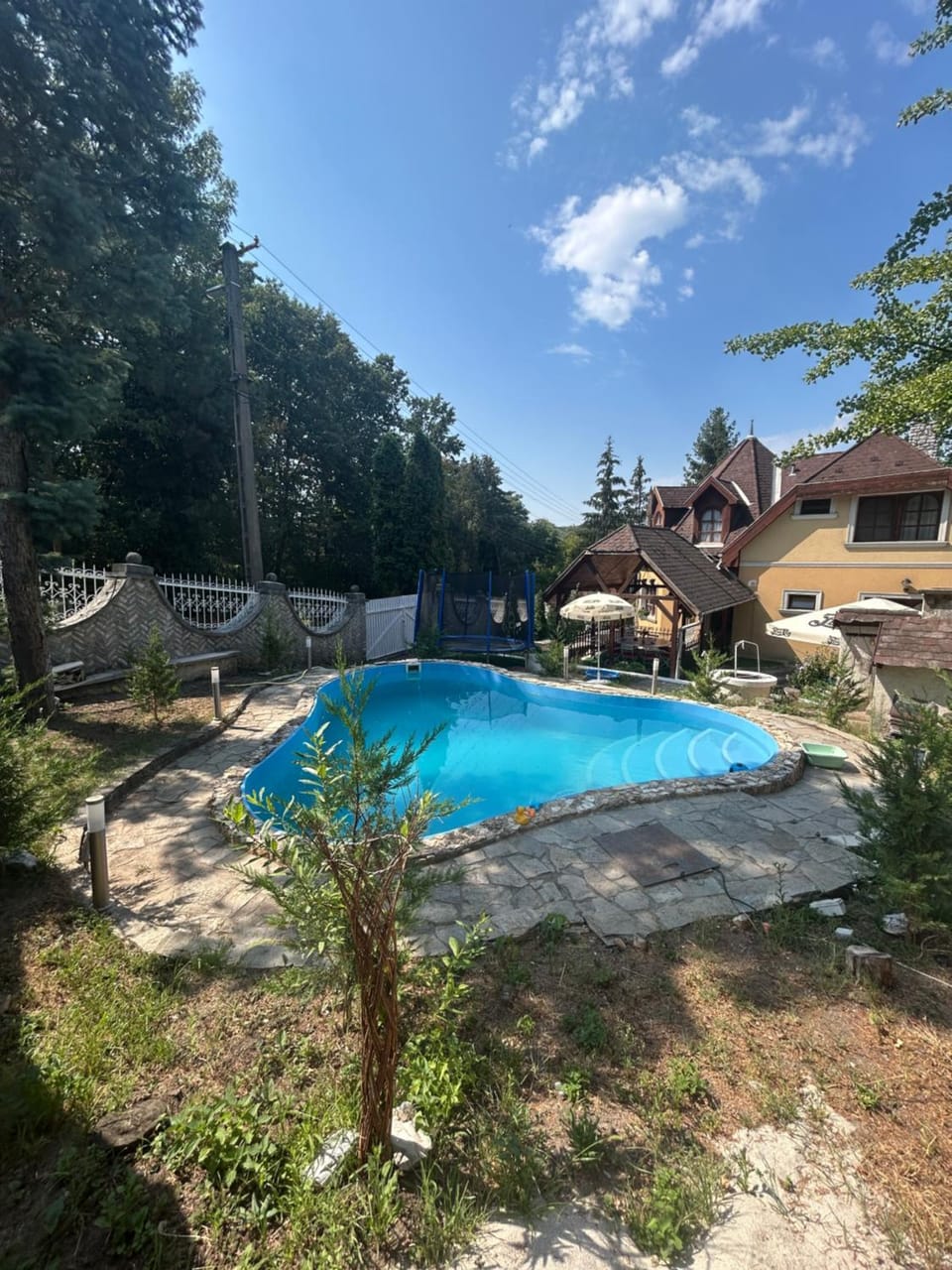 Property building, Natural landscape, Garden, Garden view, Pool view, Swimming pool, Swimming pool