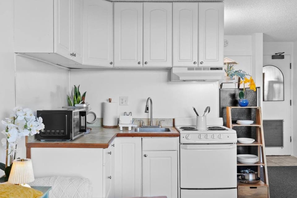 Hilo Lagoon Studio - A/C, Wi-Fi, Pool, Park Views! Apartment in Hilo