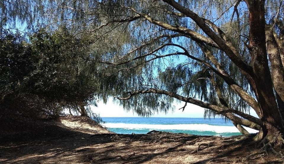 Natural landscape, Beach, Sea view