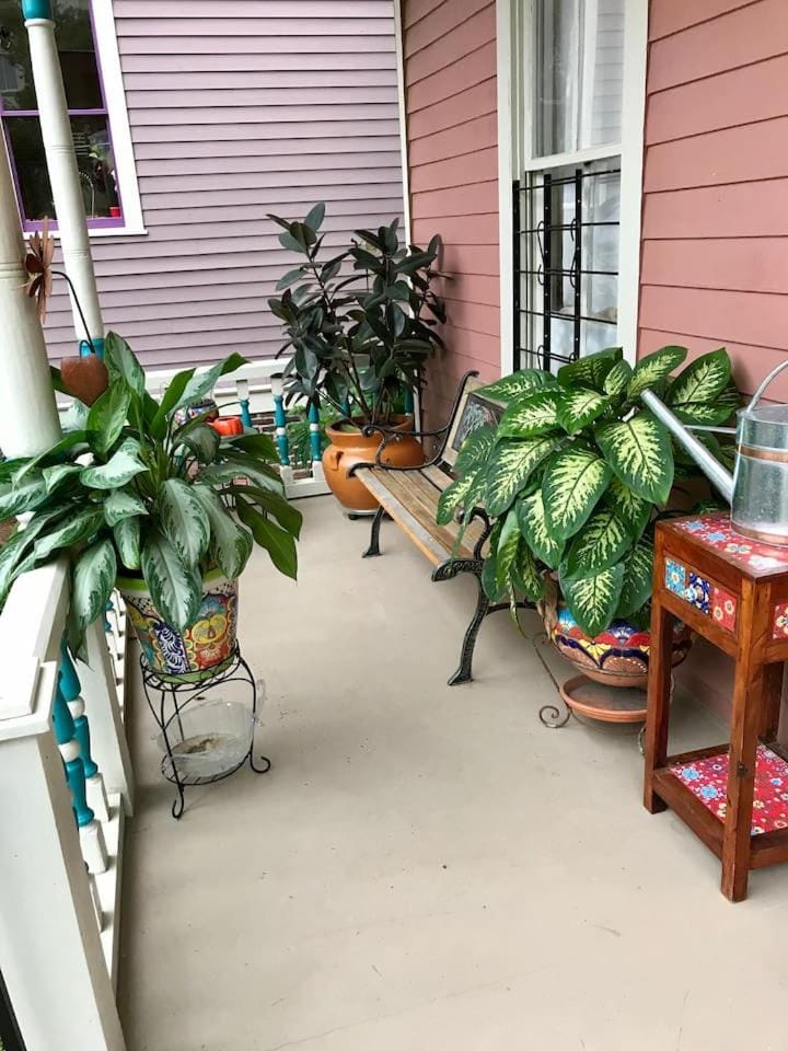Remodeled Victorian Apartment Next to Forsyth Park Apartment in Savannah