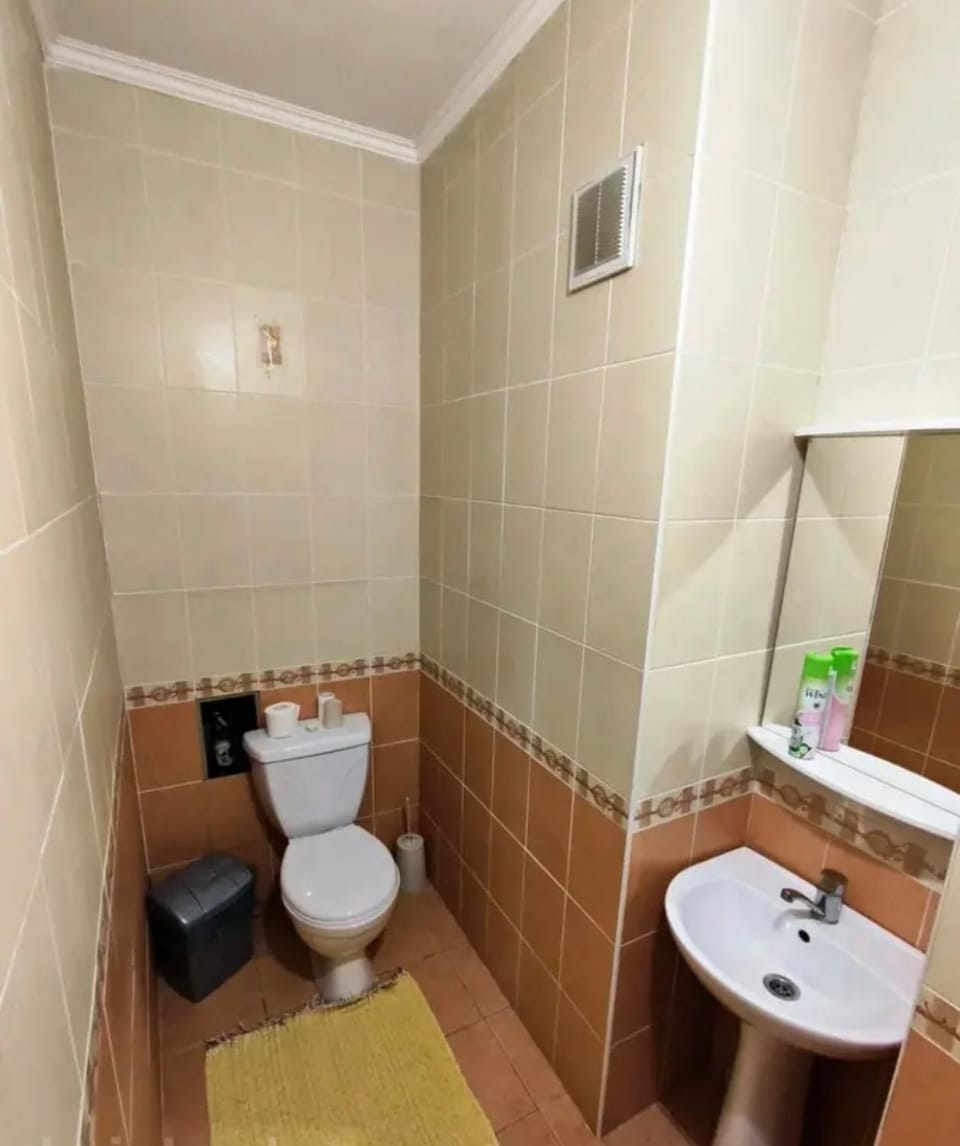 Комфортабельные апартаменты Apartment in Kazakhstan