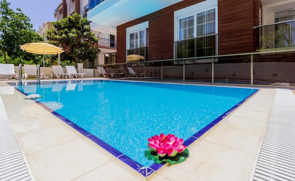 Pool view, Swimming pool