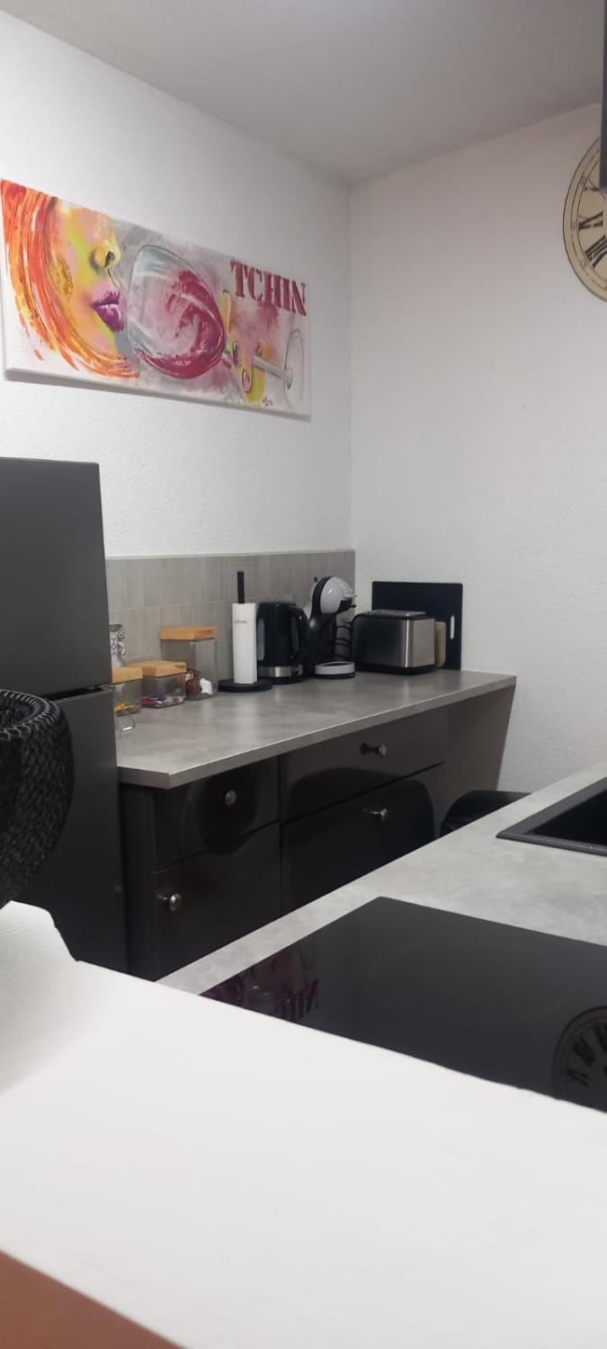 Le Trente Six Apartment in Carcassonne