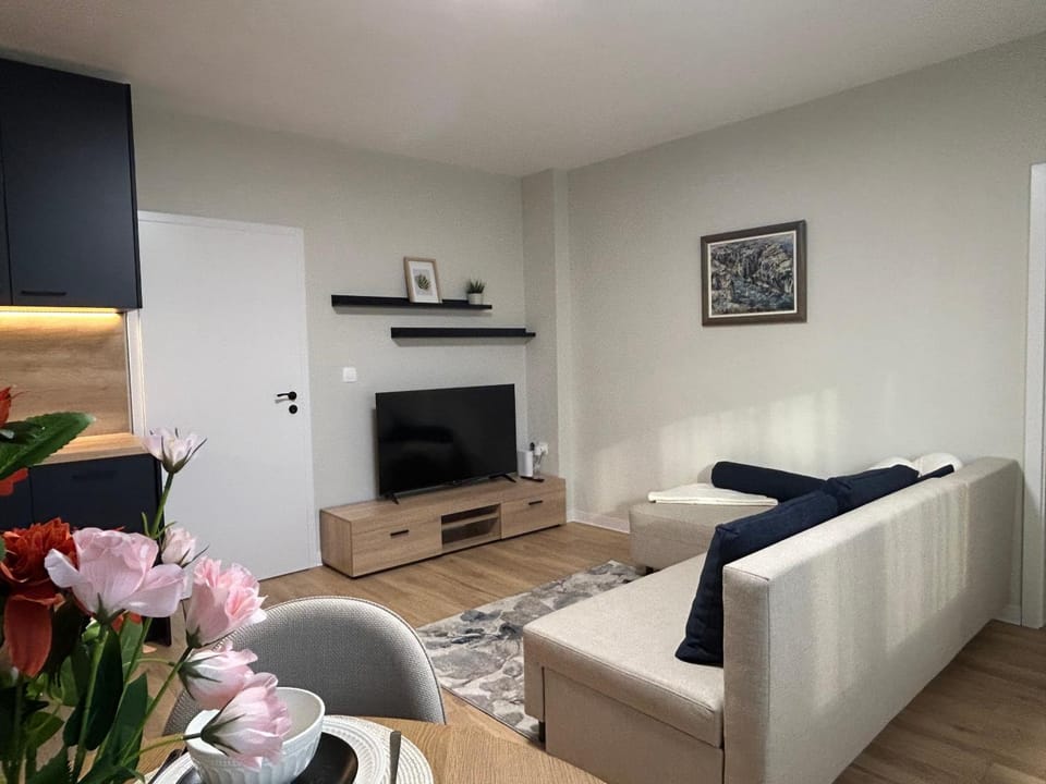 TV and multimedia, Living room, Evening entertainment, internet