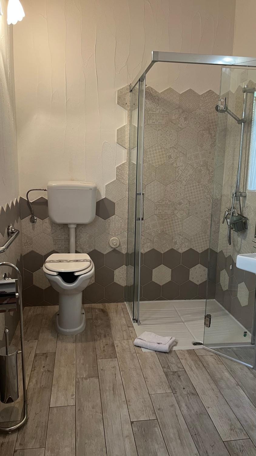 Shower, Toilet, Bathroom, towels